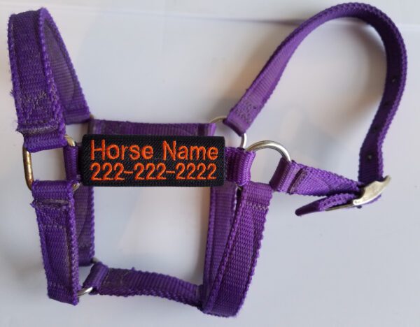 A purple harness with an orange tag on it.