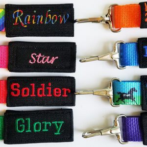 A group of six different colored lanyards.