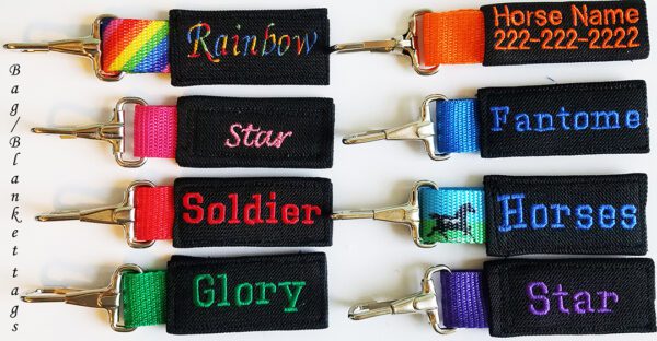 A group of six different colored lanyards.