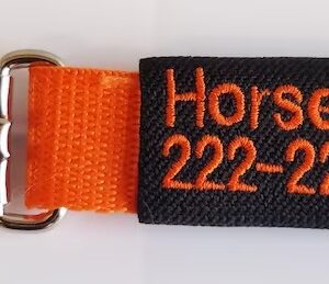 A key chain with the name of horse and year.