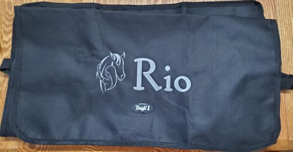 A bag that has the word " rio " written on it.